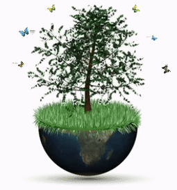 global-growth-animated-tree-prezi-template