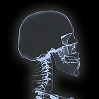 x-ray-prezi-template